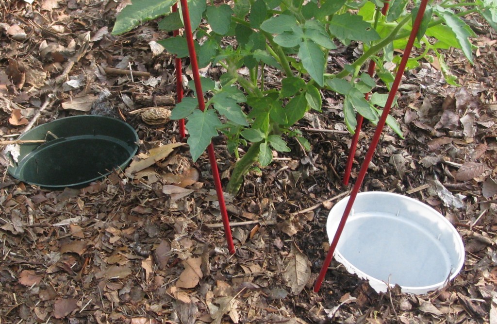 2011 watering pots