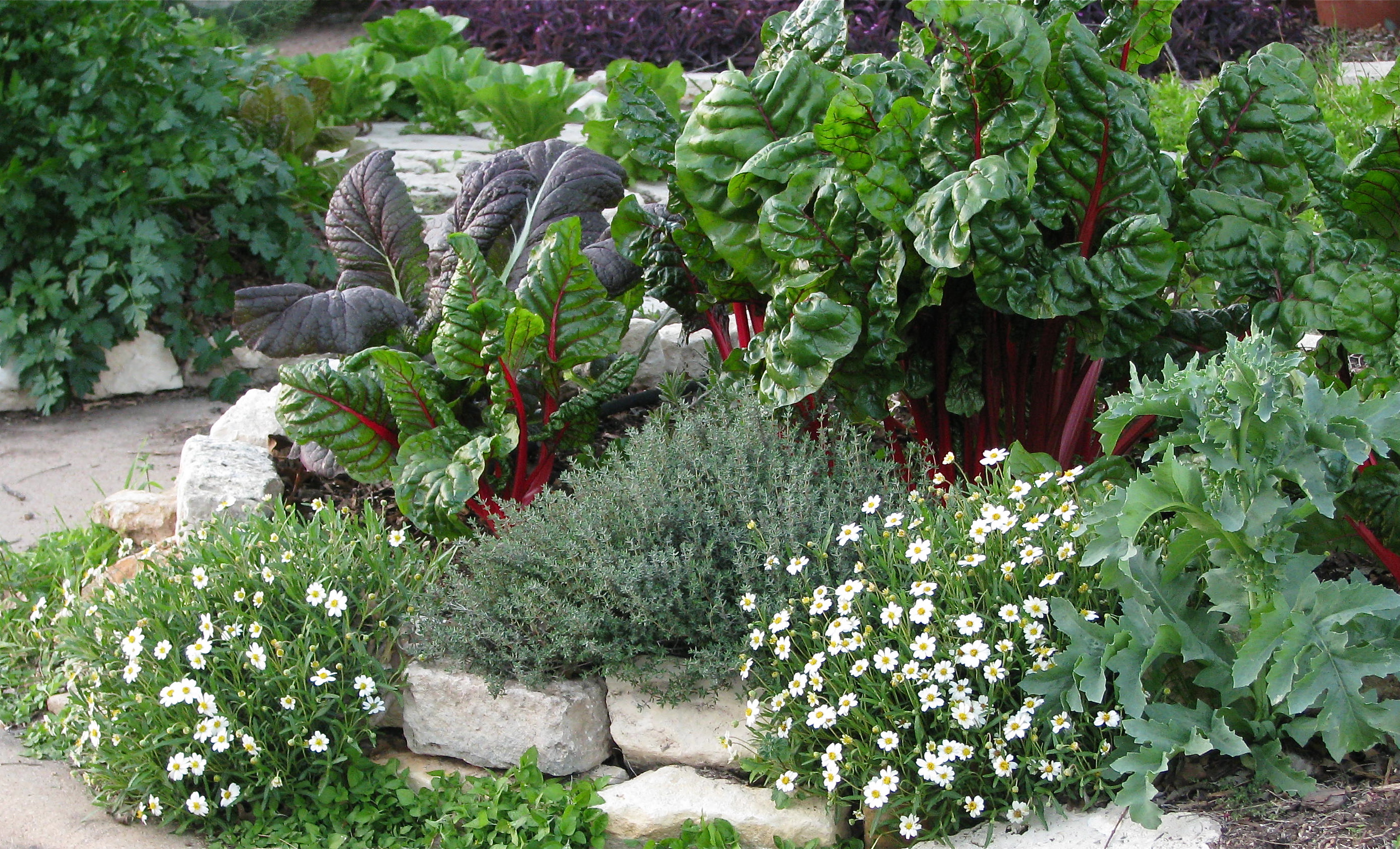 Florida Front Yard Landscaping Ideas